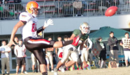 slied6