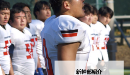 PPvol.44