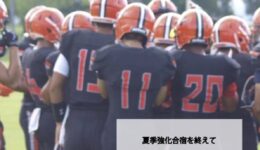 PPvol.51
